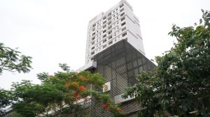 Picture1 1